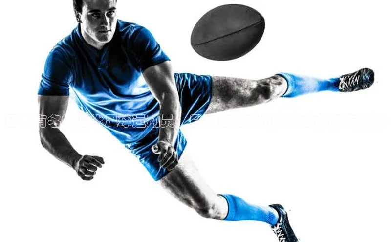 人人体育欧洲杯直播百度人工翻译