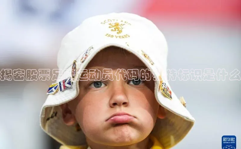 人人体育正版app下载百度网盘