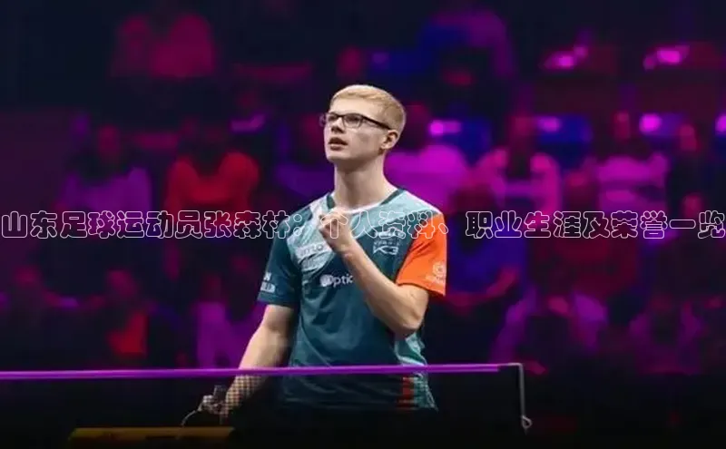 人人看球app下载文心一言