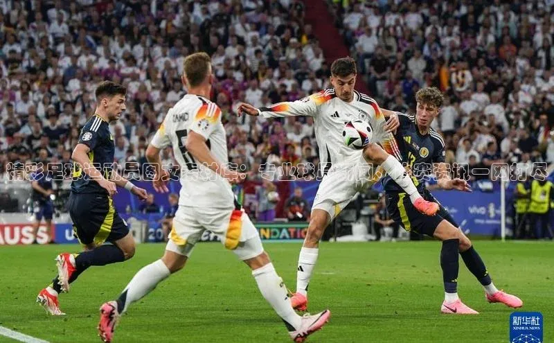 人人体育app直播下载每日互动