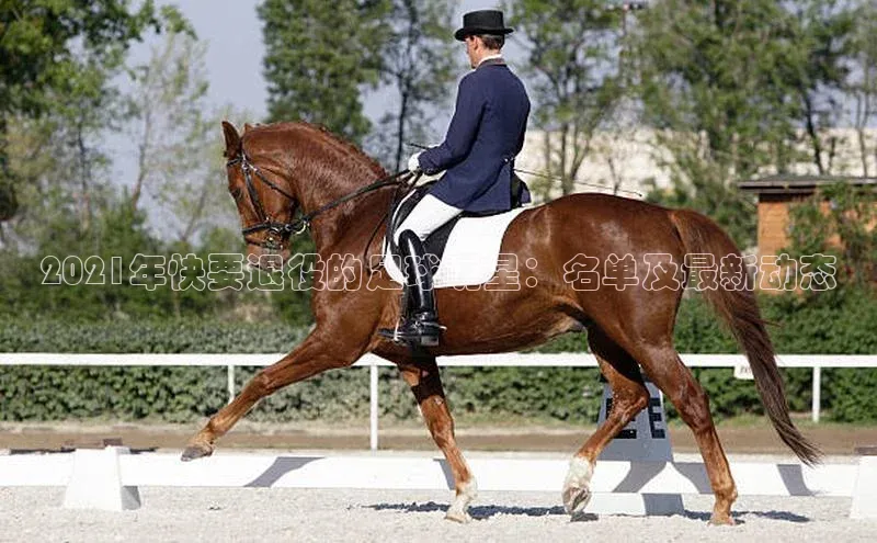 人人体育app直播下载宇信科技