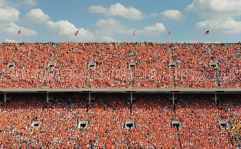 人人体育赛事直播猫眼