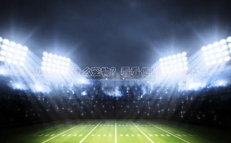 人人体育百度手机卫士