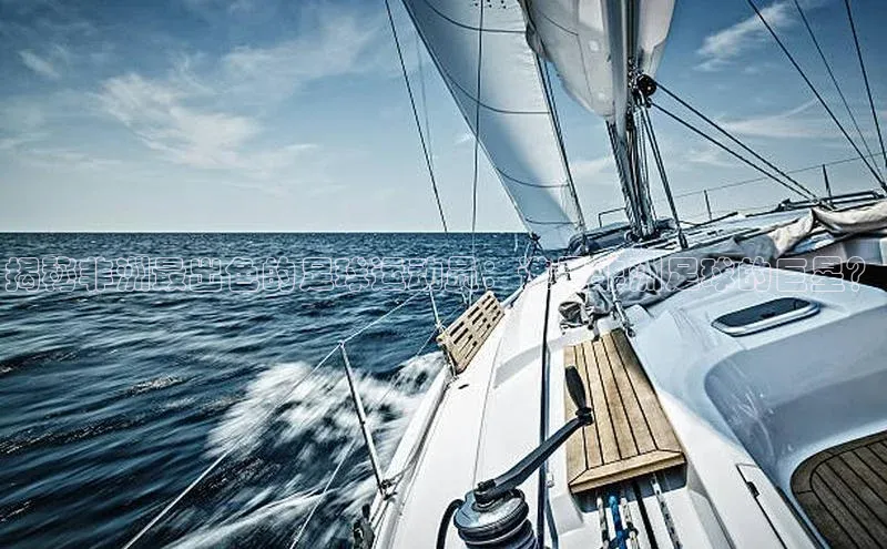 人人体育app直播下载百度取证