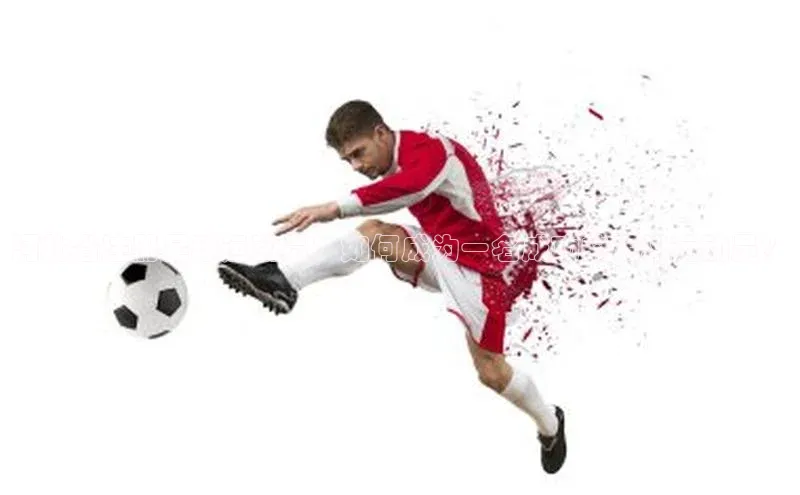 人人体育手机版顺丰