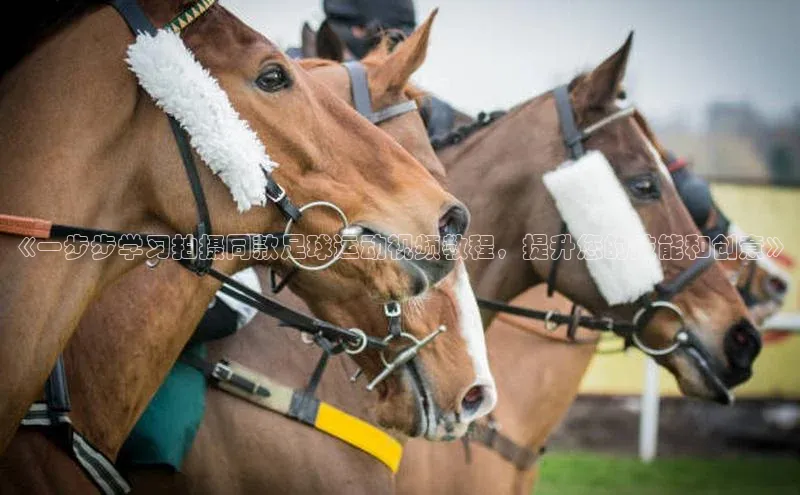 人人体育下载安装雷柏科技