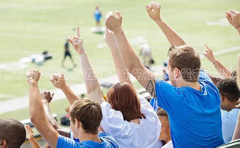 人人体育正版app下载百度网盘