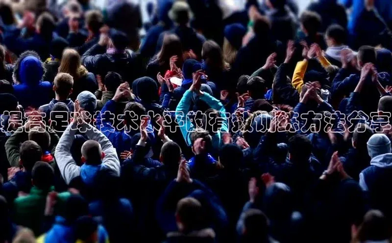 人人体育app官方下载最新版本赛富乐斯