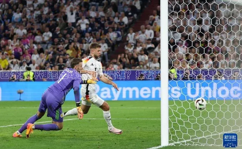 人人体育赛事直播ARGA公司