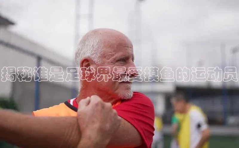 人人体育下载安装百度识图