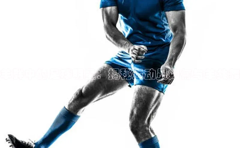 人人体育app安卓版轻美电器