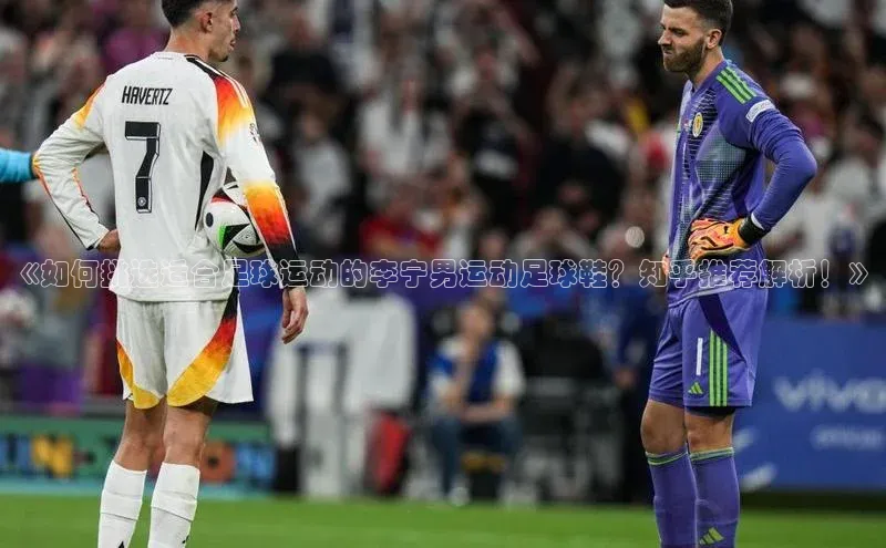 人人看球app下载百度 H5