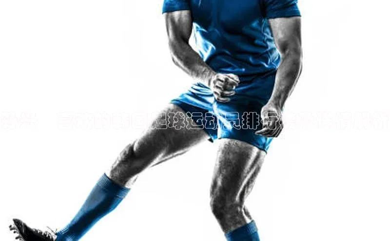 人人体育下载安装百度识图