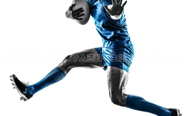 人人体育app安卓版度小满支付