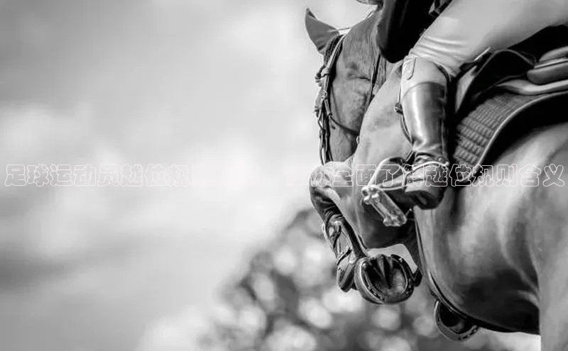 人人体育篮球直播nba下载京东