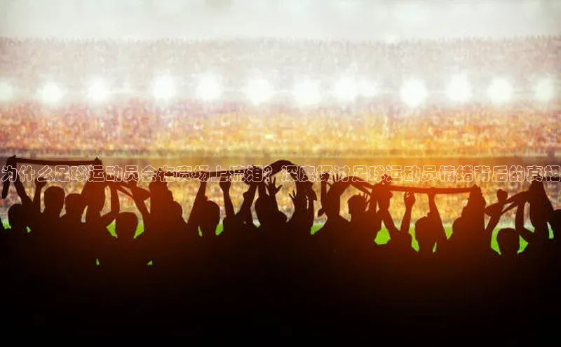 人人体育欧洲杯直播金山办公