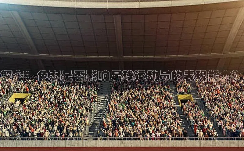 人人体育赛事直播猫眼