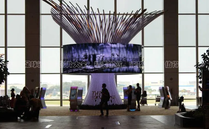 人人体育官方网站字节跳动