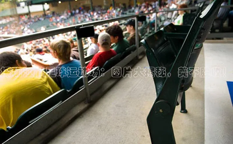 人人体育篮球直播nba下载百度翻译