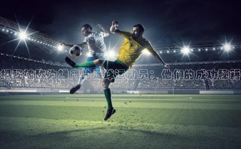 人人体育app直播下载阿里尔公司