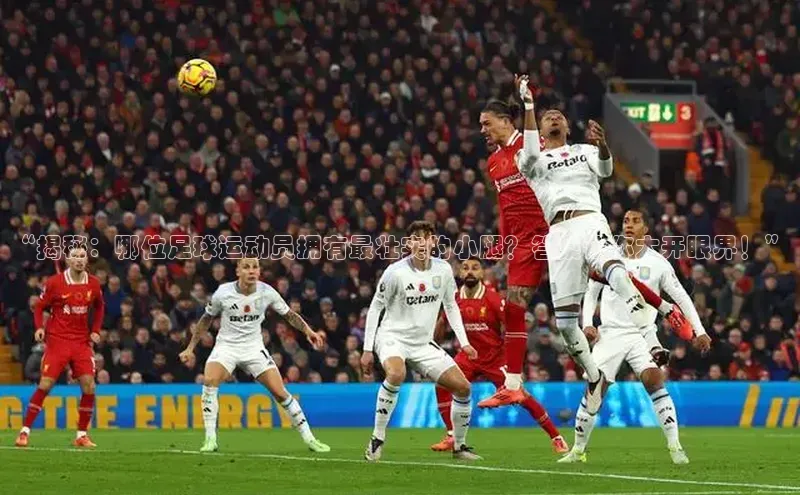 人人看球app下载文心一言