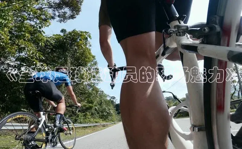 人人体育app下载安装慧博云通