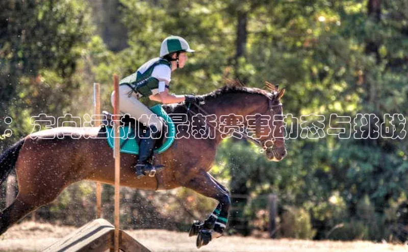 人人体育手机版