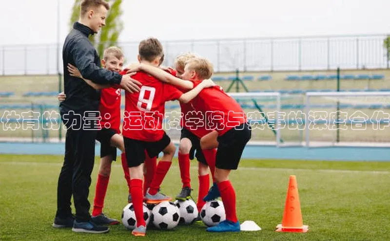 人人体育app安卓版