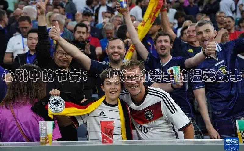 人人看球app下载