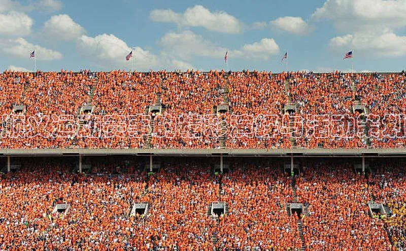 人人体育app安卓版