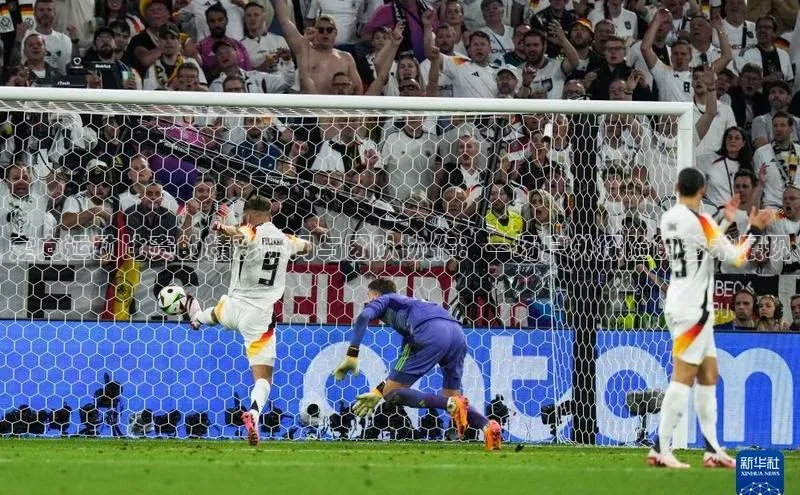 人人体育正版app下载