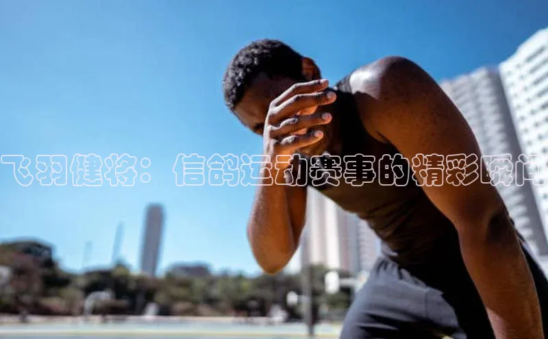 人人看球app下载