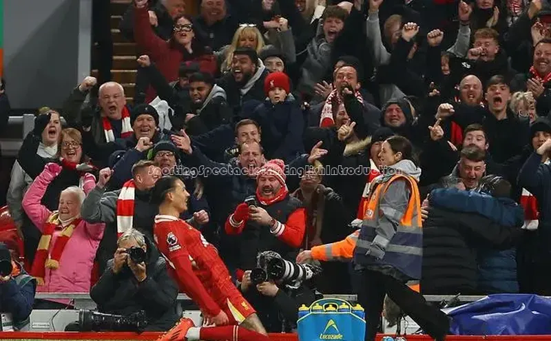 人人体育app安卓版