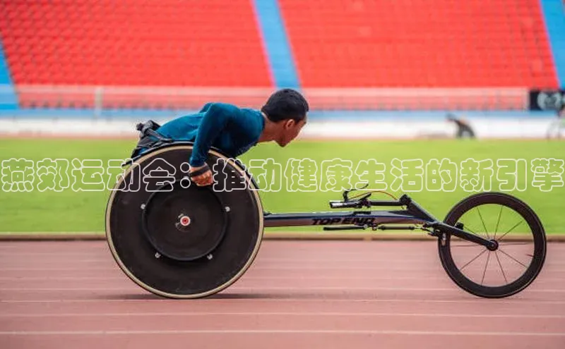 人人体育直播篮球