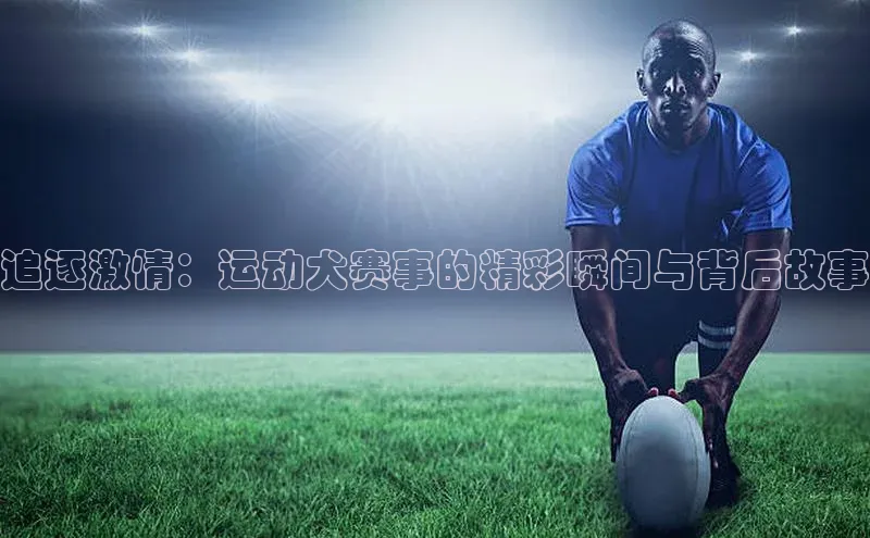 人人体育app官方下载最新版本