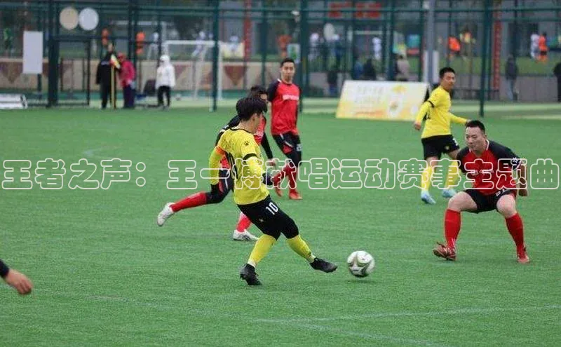 人人体育app官方版