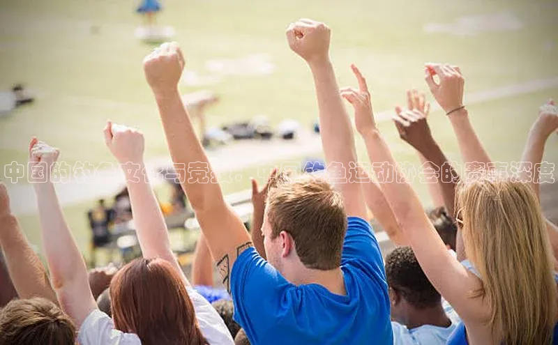 人人体育app下载安装