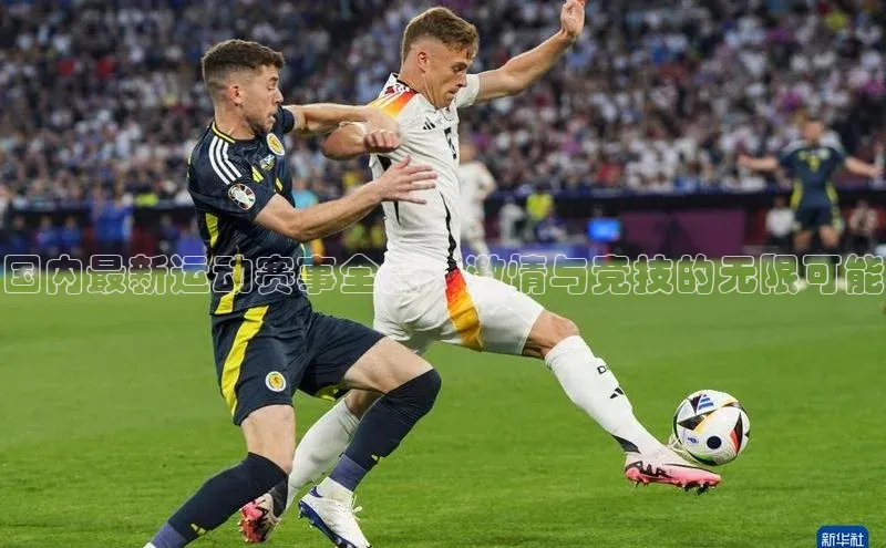 国内最新运动赛事全景：激情与竞技的无限可能