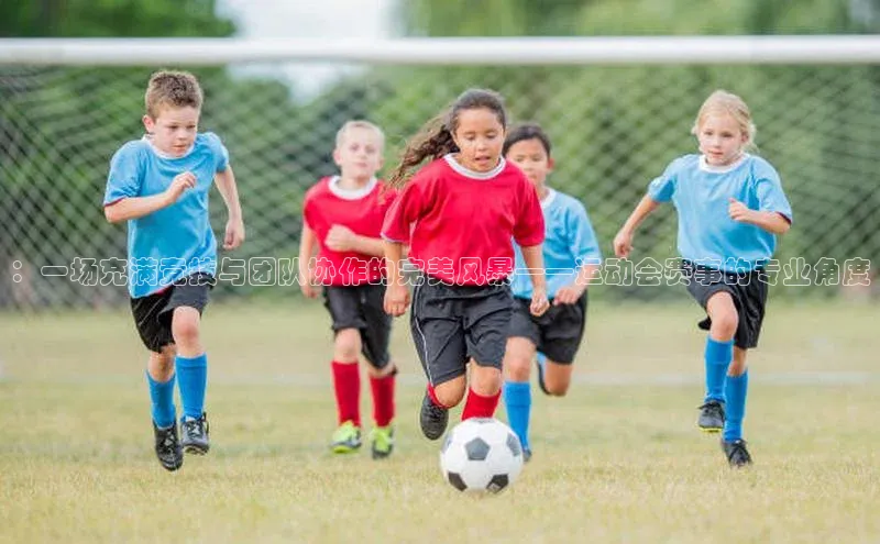 人人体育手机版